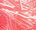 Hot Pink Print