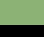 Fluorescent Lime/Black