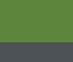 Extreme Green/Seal Grey