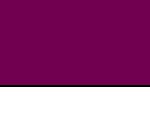 Magenta/White