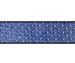 White/Blue Spot/White