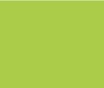 Neon Lime